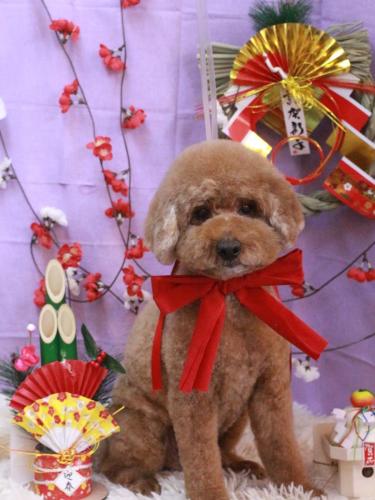 20230124ジョンくん